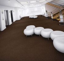 Forbo Coral Marine FR 4226 Tanger Brown фото 3 | FLOORDEALER